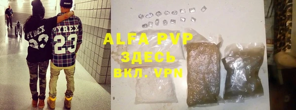 PSILOCYBIN Аркадак