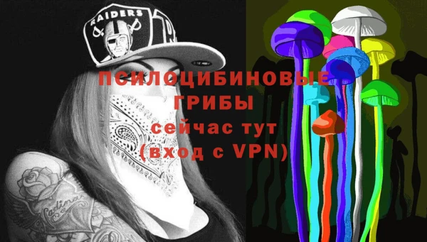 PSILOCYBIN Аркадак